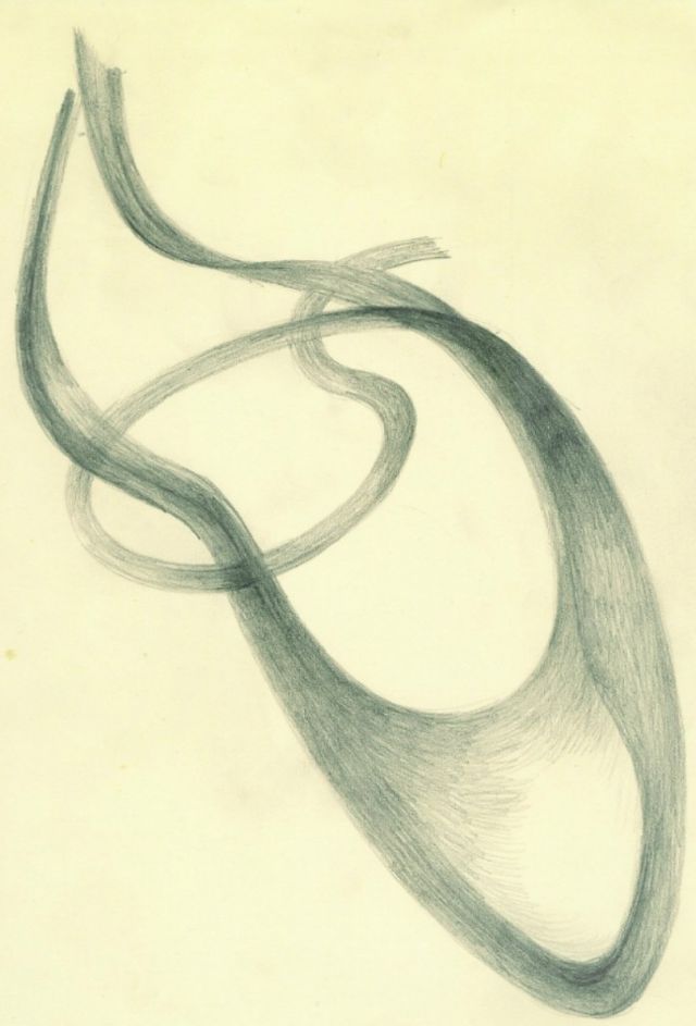 abstract form  .  graphite on card  .  2012